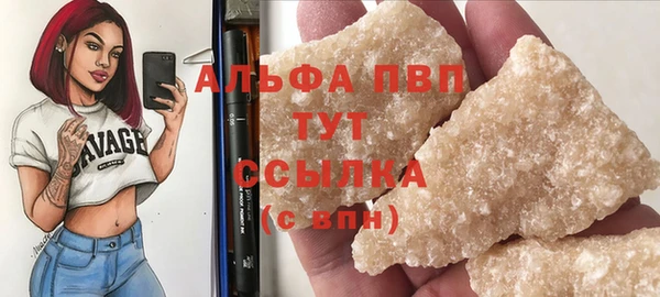 гашик Новозыбков