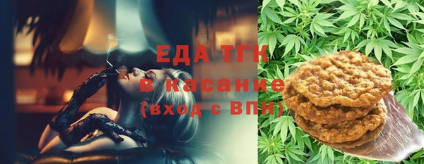 гашик Новозыбков