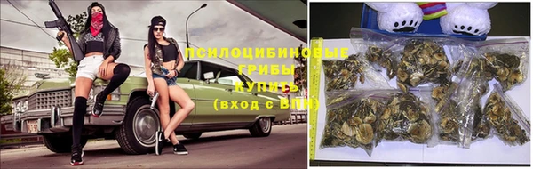 гашик Новозыбков